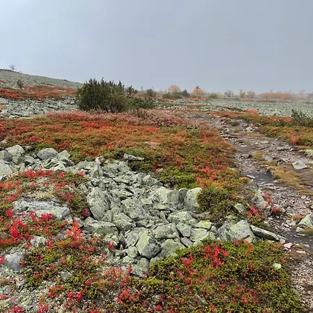 Βίλα Kimmelvilla Pyhae - Ski-in, Modern Design And Spectacular Scenery *