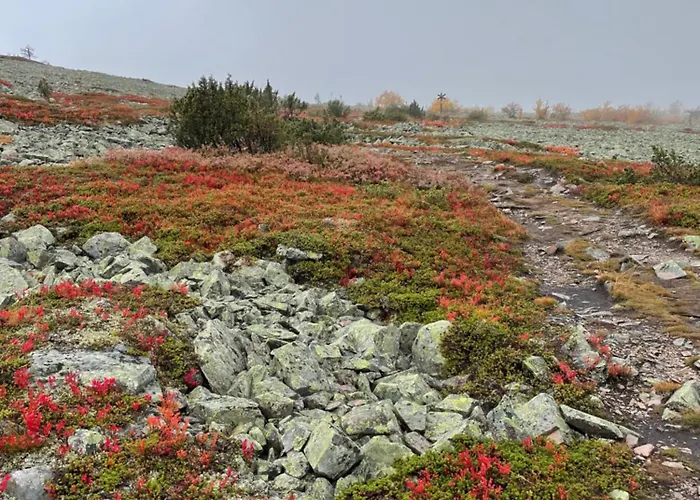 빌라 Kimmelvilla Pyhae - Ski-in, Modern Design And Spectacular Scenery *